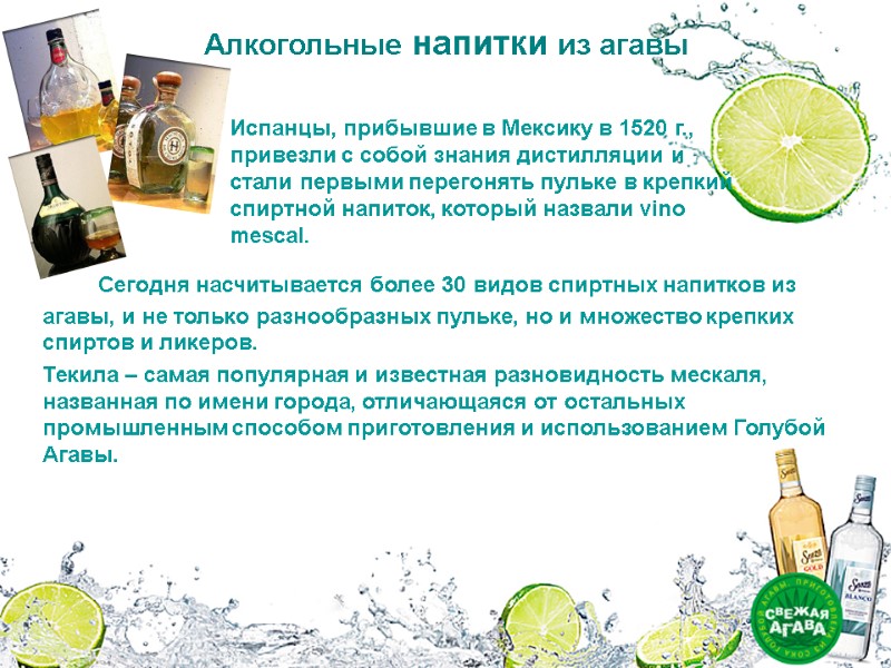 Алкогольные напитки из агавы Сегодня насчитывается более 30 видов спиртных напитков из Алкогольные напитки из агавы Сегодня насчитывается более 30 видов спиртных напитков из